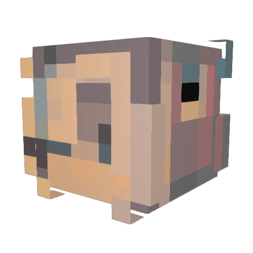 ppawmpkin Minecraft avatar head, 3D render
