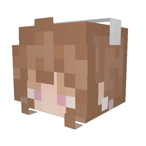 ppdestroyer69x Minecraft avatar head, 3D render