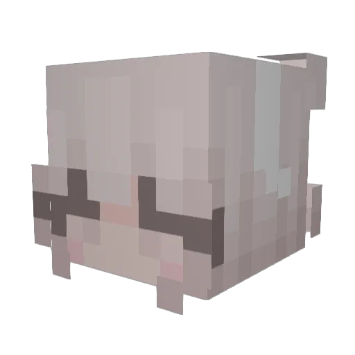 ppeachyys Minecraft avatar head, 3D render