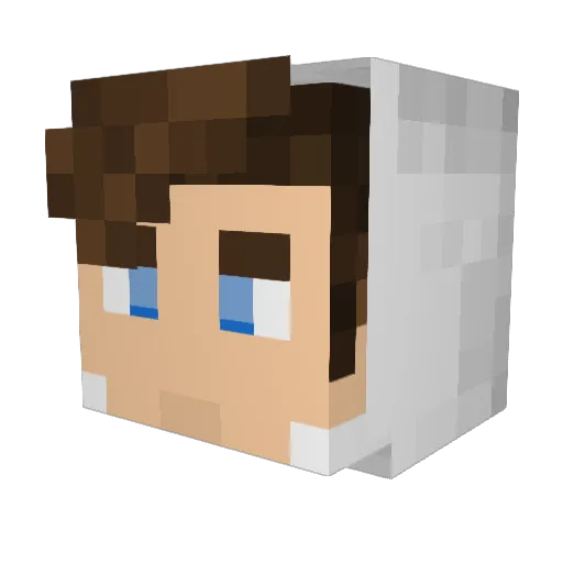 ppetgamer_ Minecraft avatar head, 3D render