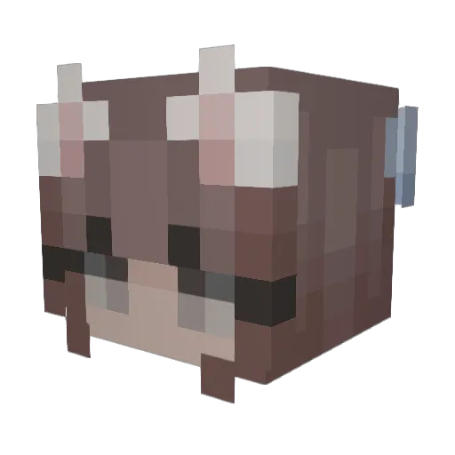 ppfccw Minecraft avatar head, 3D render
