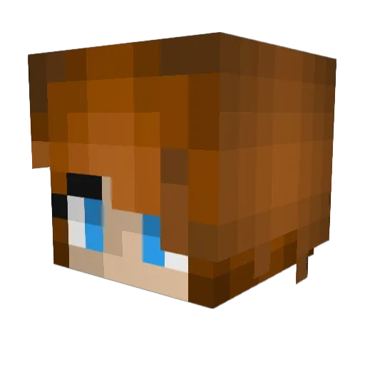 ppgang69 Minecraft avatar head, 3D render
