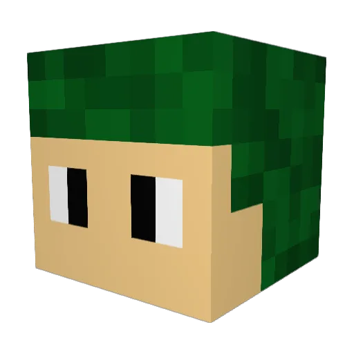 ppiyd Minecraft avatar head, 3D render