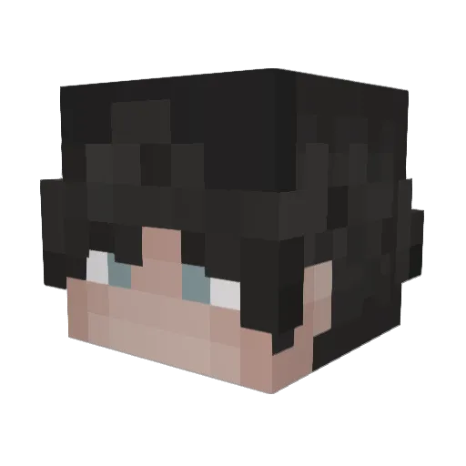 ppkn Minecraft avatar head, 3D render