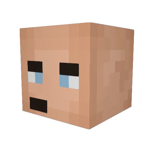 pplayboifarti57 Minecraft avatar head, 3D render