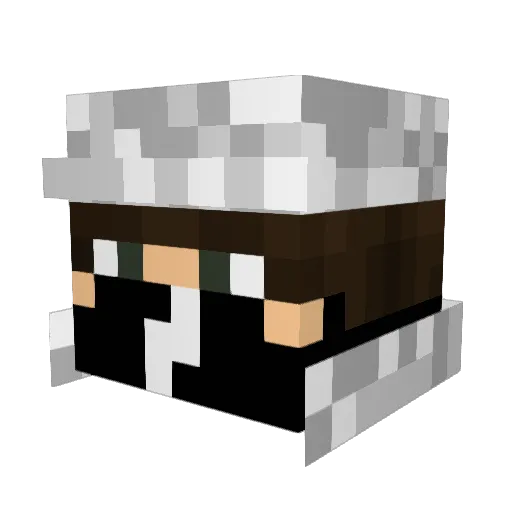 ppman6969 Minecraft avatar head, 3D render