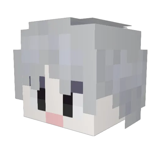 ppmpi_ Minecraft avatar head, 3D render