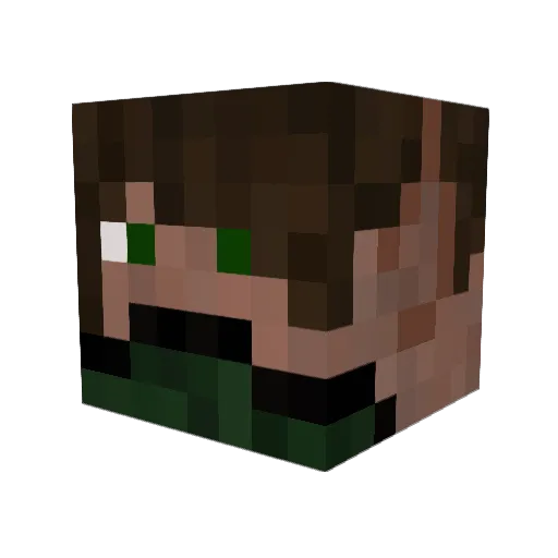 ppoouy Minecraft avatar head, 3D render
