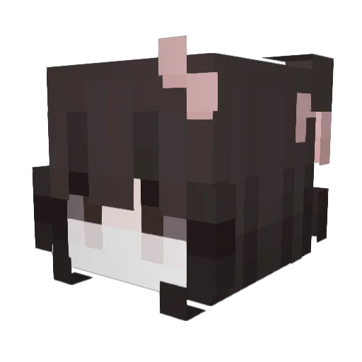 ppp2005 Minecraft avatar head, 3D render