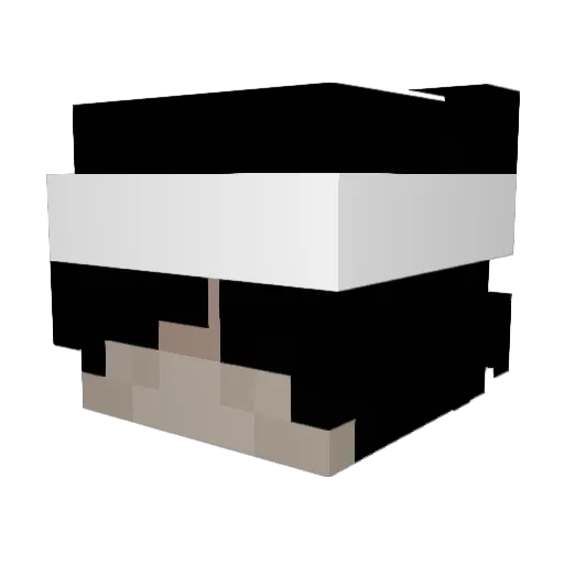 ppprrrooo Minecraft avatar head, 3D render