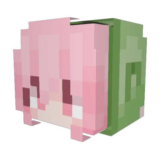 ppqq123 Minecraft avatar head, 3D render