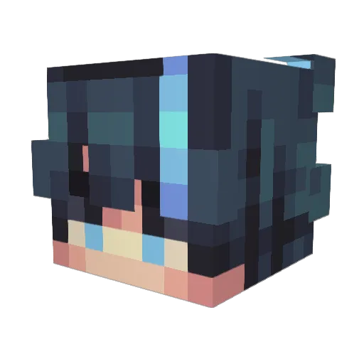 pprr2251 Minecraft avatar head, 3D render