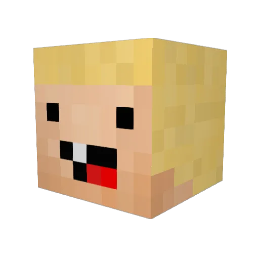 ppstirred Minecraft avatar head, 3D render