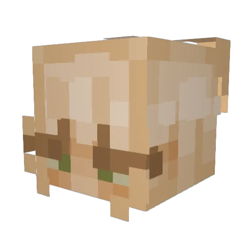 ppuddle Minecraft avatar head, 3D render