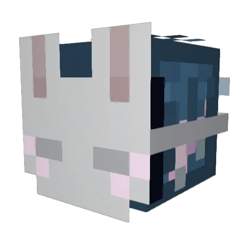 ppuew Minecraft avatar head, 3D render