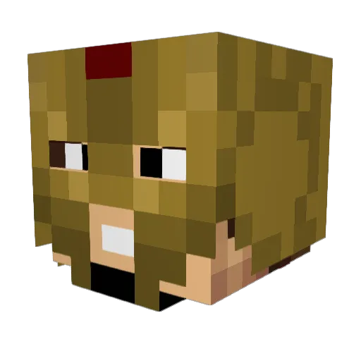 ppurcell19 Minecraft avatar head, 3D render