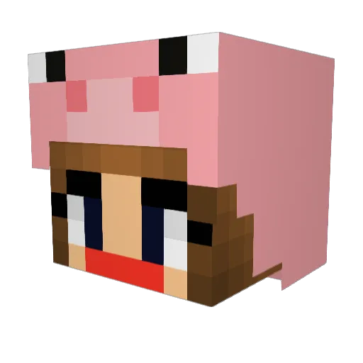 pq_pq Minecraft avatar head, 3D render