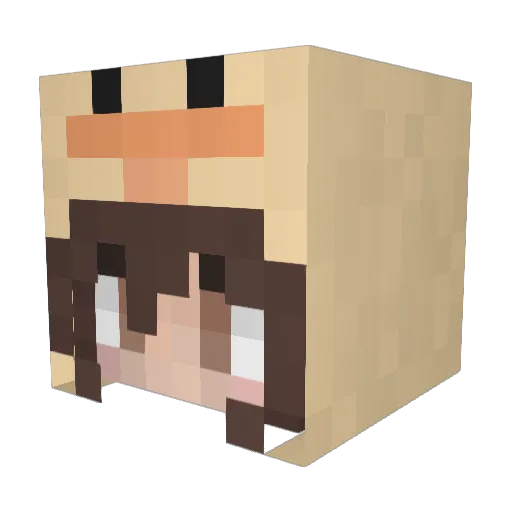 pqnic Minecraft avatar head, 3D render