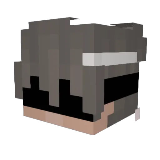 pqwf Minecraft avatar head, 3D render