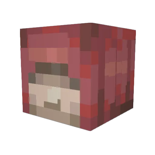 pqym Minecraft avatar head, 3D render