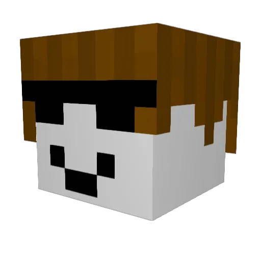 pr0x237 Minecraft avatar head, 3D render