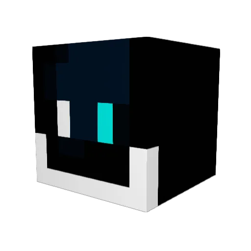 pr0xyyy_0o Minecraft avatar head, 3D render