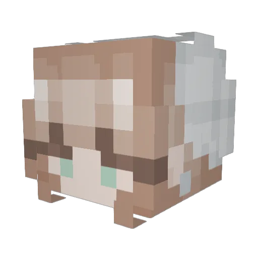 pr5m Minecraft avatar head, 3D render