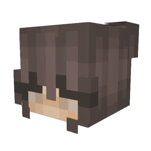 praayn Minecraft avatar head, 3D render