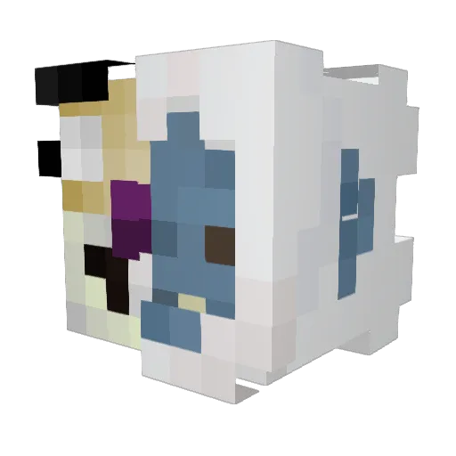pracastop Minecraft avatar head, 3D render