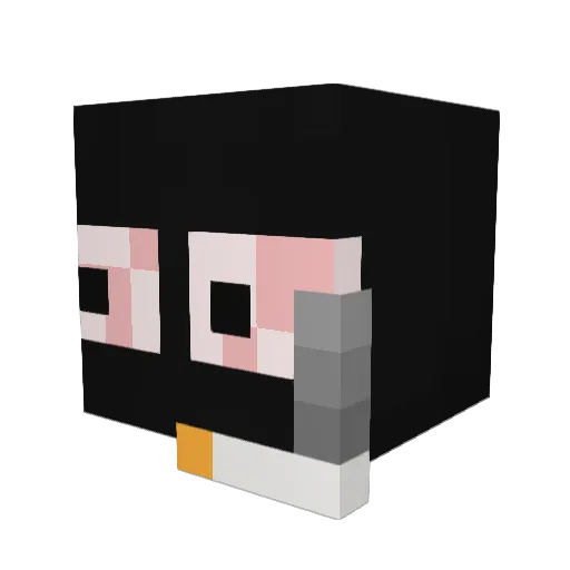 praeb Minecraft avatar head, 3D render