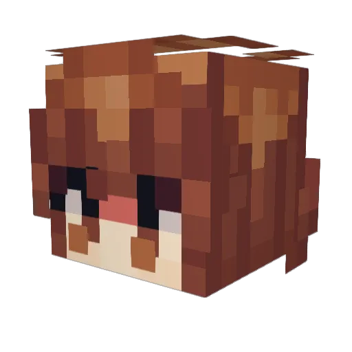 prafrente Minecraft avatar head, 3D render