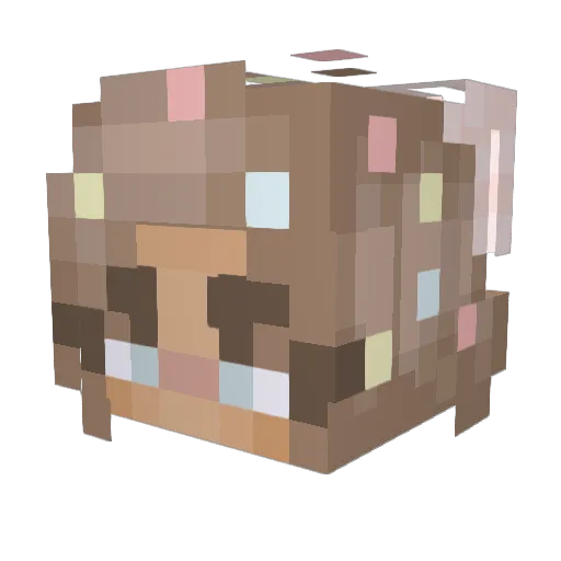 pralineczka Minecraft avatar head, 3D render