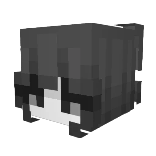 prava Minecraft avatar head, 3D render