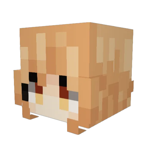 praxyra Minecraft avatar head, 3D render