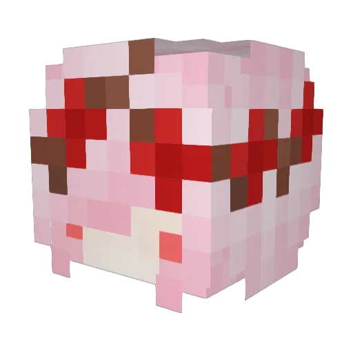 praycoola Minecraft avatar head, 3D render