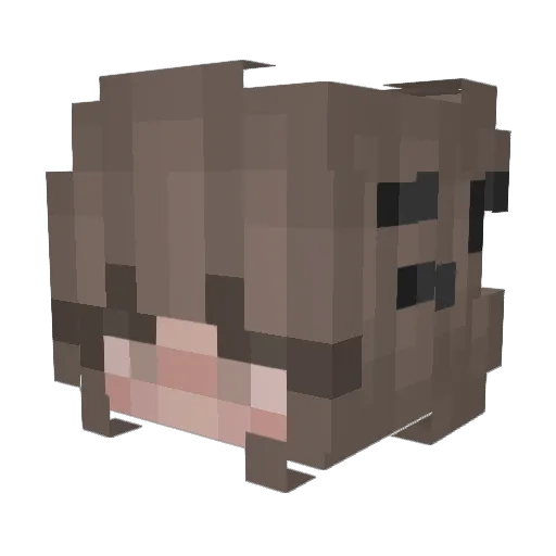 praypls_ Minecraft avatar head, 3D render