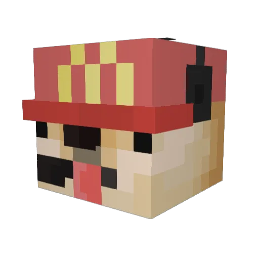 prdz2006 Minecraft avatar head, 3D render