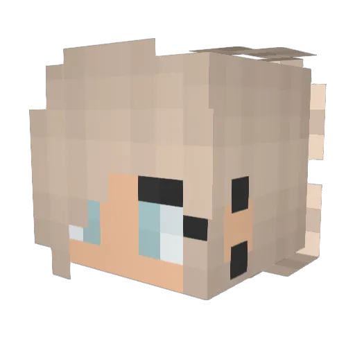 pre_zes Minecraft avatar head, 3D render