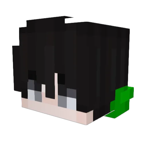 preem15 Minecraft avatar head, 3D render