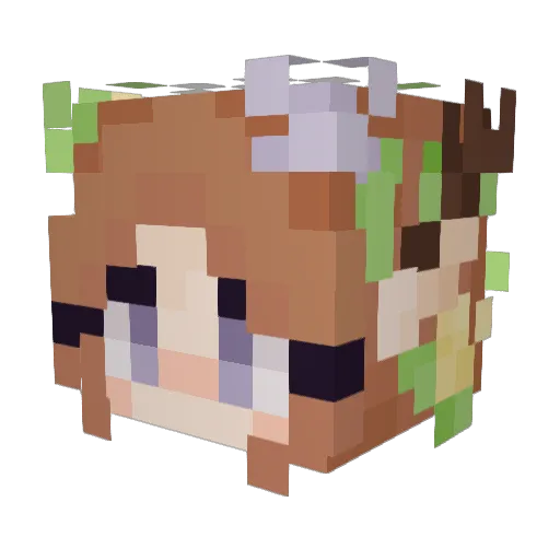preetypencil Minecraft avatar head, 3D render