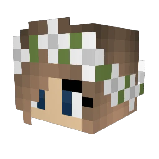 preferencetaylor Minecraft avatar head, 3D render