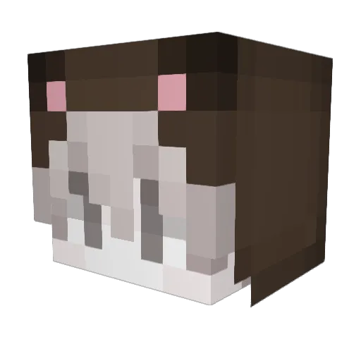 preft Minecraft avatar head, 3D render