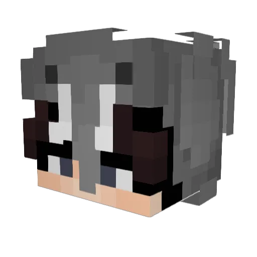 pregamer189 Minecraft avatar head, 3D render