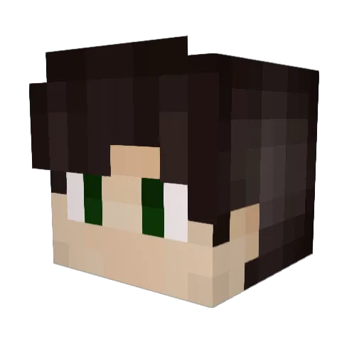 preisigke Minecraft avatar head, 3D render