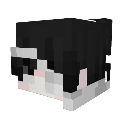 premghoul Minecraft avatar head, 3D render