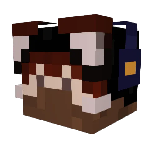 presentable_ Minecraft avatar head, 3D render