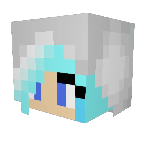 pressleygames11 Minecraft avatar head, 3D render