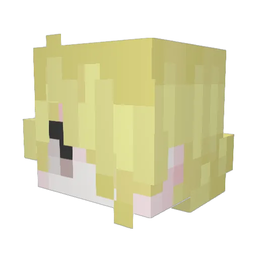 pretogamer13 Minecraft avatar head, 3D render