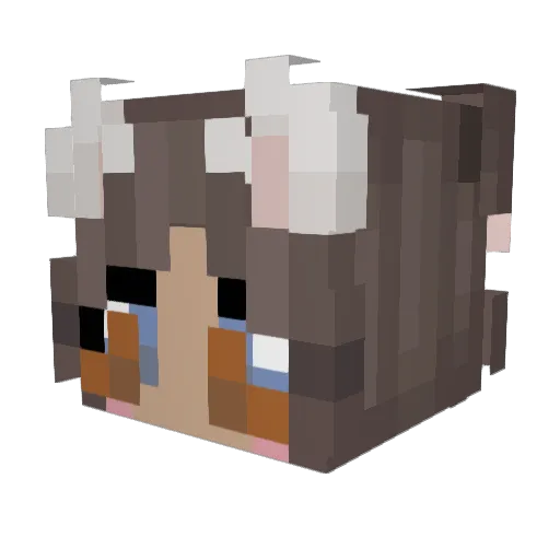 pretty_pixie_ Minecraft avatar head, 3D render