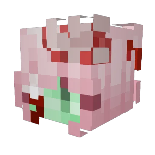 prettybirdd Minecraft avatar head, 3D render